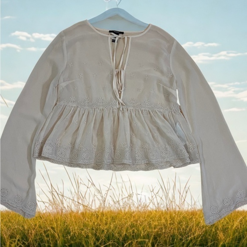 Sheer Embroidered Ruffle Top